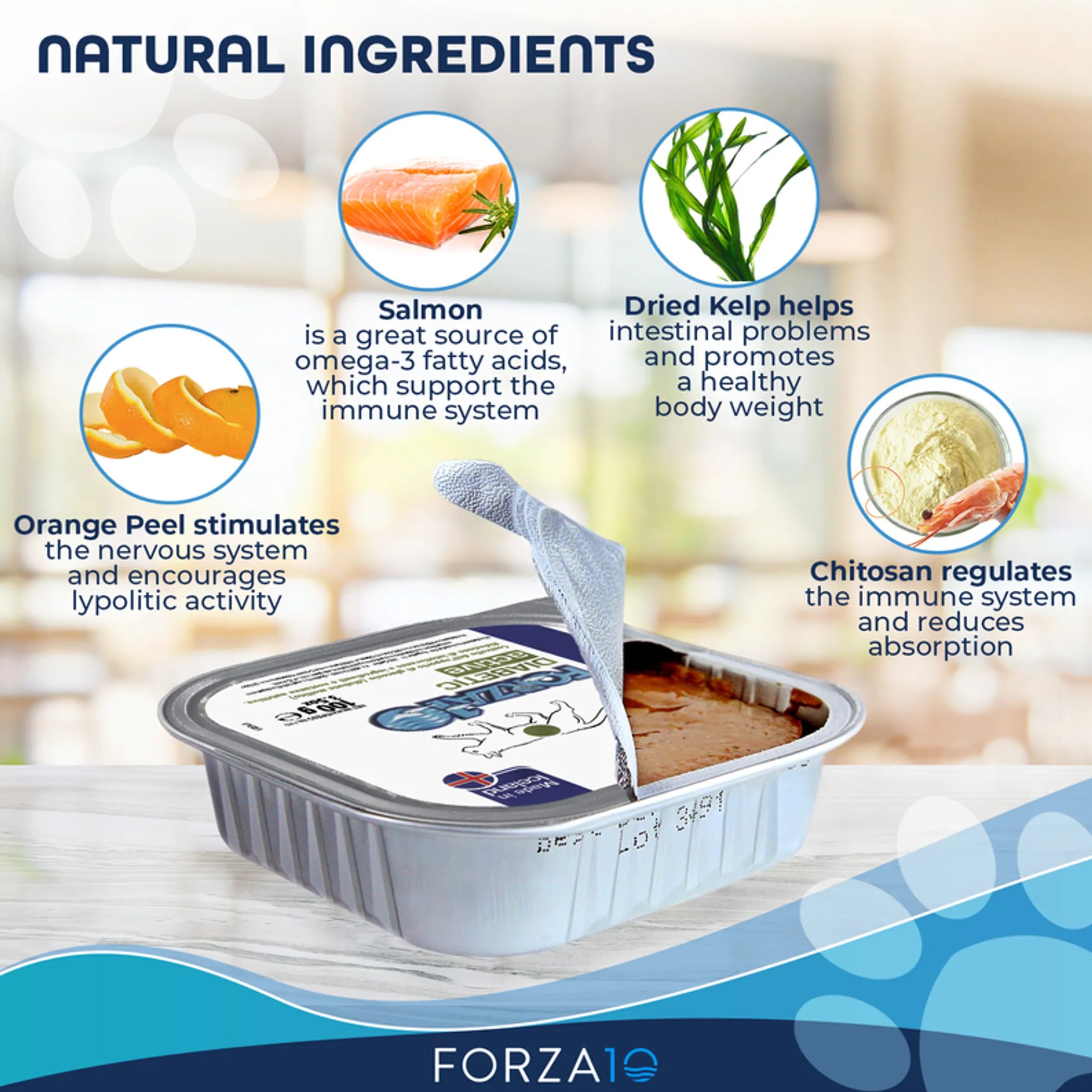 Forza10 ActiWet Diabetic Support Icelandic Fish Recipe Canned Cat Food